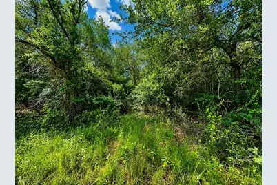 Tbd Water Oak Road, Columbus, TX 78934 - Photo 7