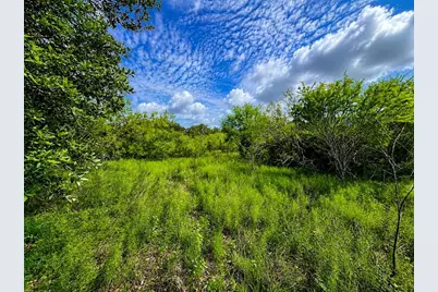 Tbd Water Oak Road, Columbus, TX 78934 - Photo 1