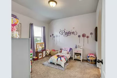 10302 Muir Peak Drive, Rosharon, TX 77583 - Photo 29
