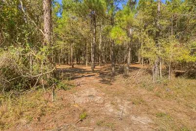 Tbd Frank Cloud Road, Huntsville, TX 77320 - Photo 19