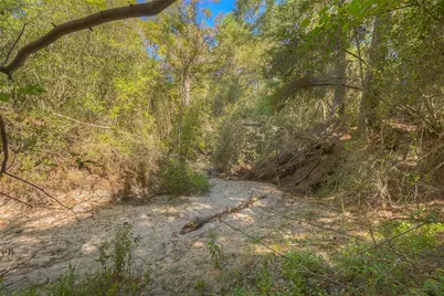 Tbd Frank Cloud Road, Huntsville, TX 77320 - Photo 15