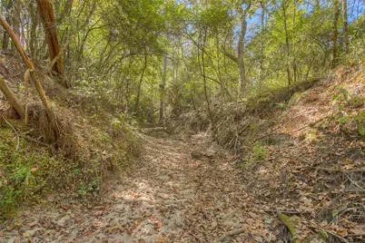 Tbd Frank Cloud Road, Huntsville, TX 77320 - Photo 17