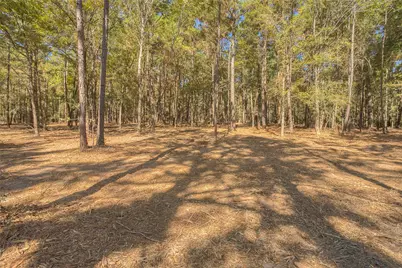 Tbd Frank Cloud Road, Huntsville, TX 77320 - Photo 7