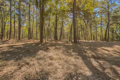 Tbd Frank Cloud Road, Huntsville, TX 77320 - Photo 3