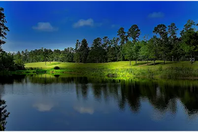 18 N Badger Lodge Circle, Spring, TX 77389 - Photo 5