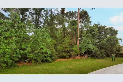18 N Badger Lodge Circle, Spring, TX 77389 - Photo 17