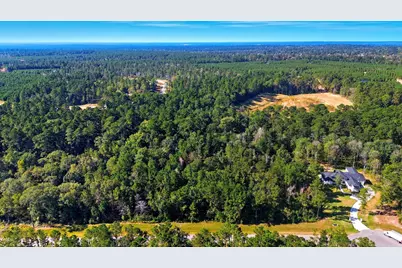 11524 Bramble Court, Willis, TX 77378 - Photo 5