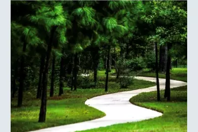 25326 Fallen Acorn Court, Porter, TX 77365 - Photo 25