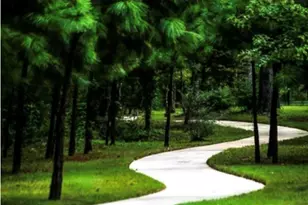 25326 Fallen Acorn Ct, Porter, TX 77365 - Photo 25