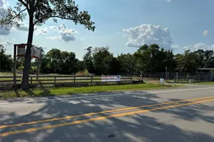 450 S Fm-1486, Montgomery, TX 77316 - Photo 3