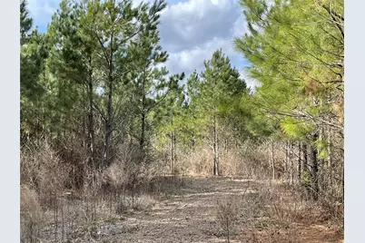 15699 Ridge Rock Road, Willis, TX 77378 - Photo 9