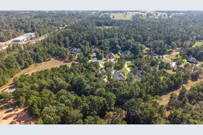 108 Port Au Prince Court, Montgomery, TX 77316 - Photo 49