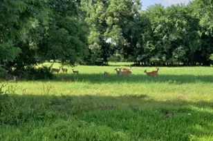 1325 Palomino Trail, Angleton, TX 77515 - Photo 33