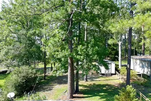 129 Cherry Ln, Burkeville, TX 75932 - Photo 23