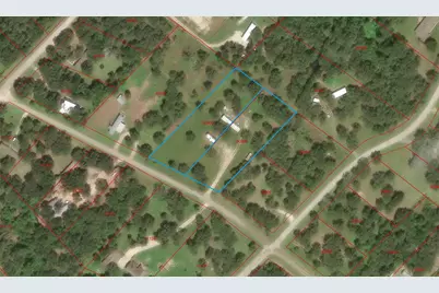 327 Teal Lake Drive, Caldwell, TX 77836 - Photo 19