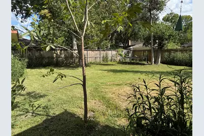 1801 Mulberry Drive, Richmond, TX 77469 - Photo 15