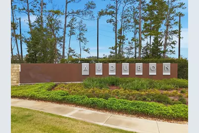 15115 Bank Swallow Place, Magnolia, TX 77354 - Photo 3