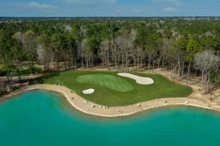 21807 Victory Grn Wy, Porter, TX 77365 - Photo 45