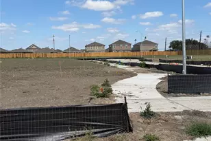 11707 Passion Fruit Ln, Houston, TX 77048 - Photo 5