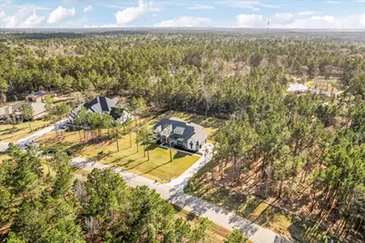 7729 Dog Wood Acres Drive, Montgomery, TX 77316 - Photo 3