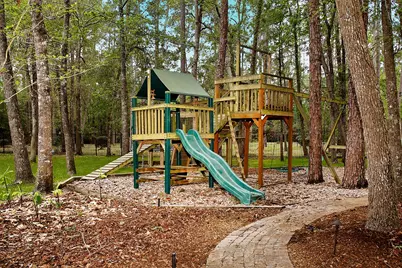 58 Red Sable Drive, The Woodlands, TX 77380 - Photo 49