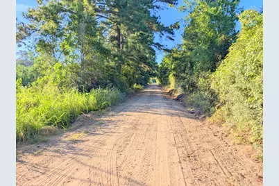 Tbd County Road 3385, Lovelady, TX 75851 - Photo 3