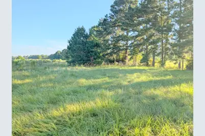 Tbd County Road 3385, Lovelady, TX 75851 - Photo 5