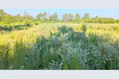 Tbd County Road 3385, Lovelady, TX 75851 - Photo 7