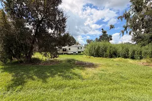 1725 County Rd 244D, Brazoria, TX 77422 - Photo 1