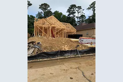 216 Bluehill Dr, Montgomery, TX 77356 - Photo 1