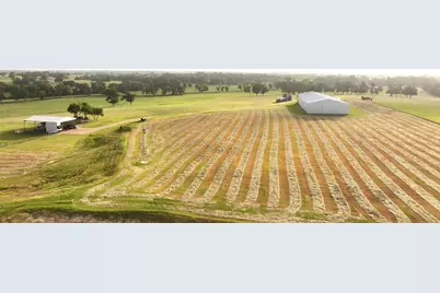 3285 Fm 2562 Road, Anderson, TX 77830 - Photo 37