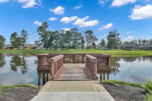 8316 Bristlecone Pne Wy, Magnolia, TX 77354 - Photo 21