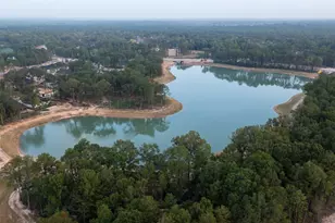 22242 Junction Peak Dr, Porter, TX 77365 - Photo 35