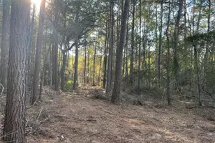 13034 Hackberrry Dr, Plantersville, TX 77363 - Photo 1