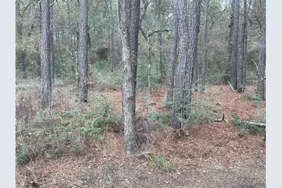 Lot 19 Hackberry Drive, Plantersville, TX 77363 - Photo 1