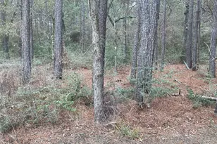 Lot 19 Hackberry Dr, Plantersville, TX 77363 - Photo 1