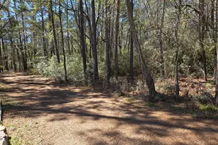 Lot 19 Hackberry Dr, Plantersville, TX 77363 - Photo 1