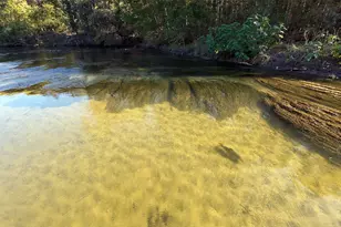 10485 FM 466, Seguin, TX 78155 - Photo 9