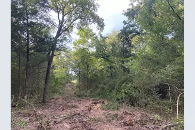 4554 County Rd 426, Marquez, TX 77865 - Photo 7