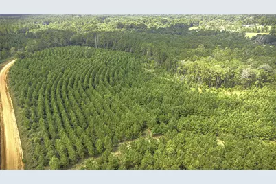 Tbd Stutts Hill Rd, Livingston, TX 77351 - Photo 15