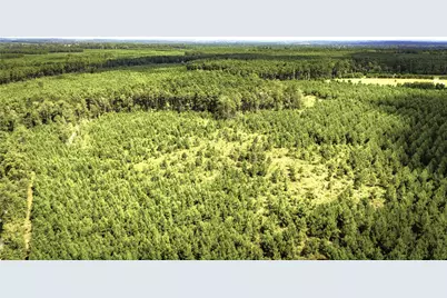 Tbd Stutts Hill Rd, Livingston, TX 77351 - Photo 9