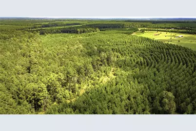 Tbd Stutts Hill Rd, Livingston, TX 77351 - Photo 11