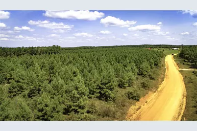 Tbd Stutts Hill Rd, Livingston, TX 77351 - Photo 25