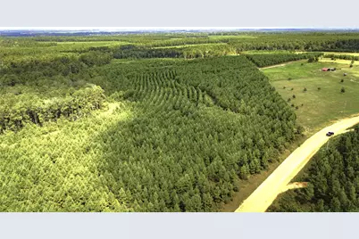 Tbd Stutts Hill Rd, Livingston, TX 77351 - Photo 21