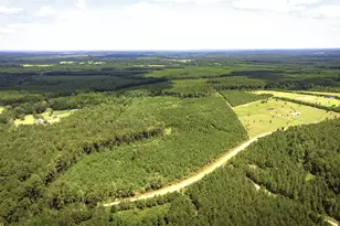 Tbd Stutts Hill Rd, Livingston, TX 77351 - Photo 1