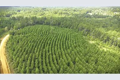 Tbd Stutts Hill Rd, Livingston, TX 77351 - Photo 3