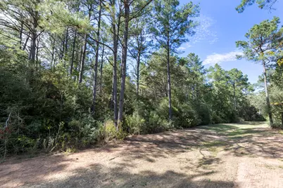 16002 Forest Mill Road, Willis, TX 77378 - Photo 11