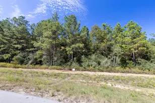 16002 Frst Ml Rd, Willis, TX 77378 - Photo 1
