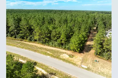 16002 Forest Mill Road, Willis, TX 77378 - Photo 9