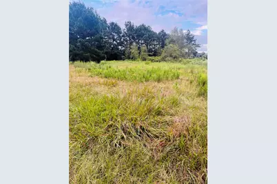 Tbd Fm 770 N, Hull, TX 77564 - Photo 13